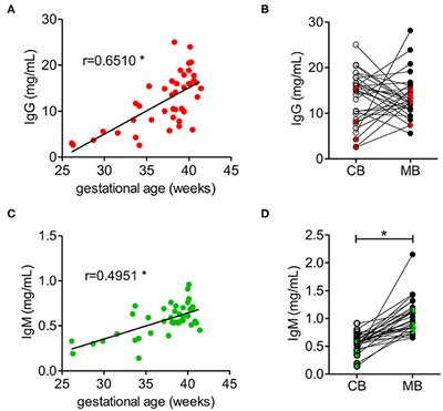 Limited Neonatal Carbohydrate-Specific Antibody Repertoire Consecutive to Partial Prenatal Transfer of Maternal Antibodies